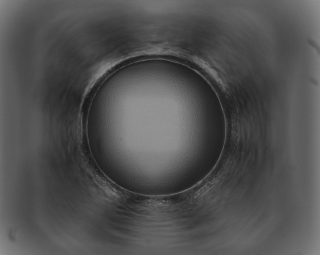 X0000091711270200709071404