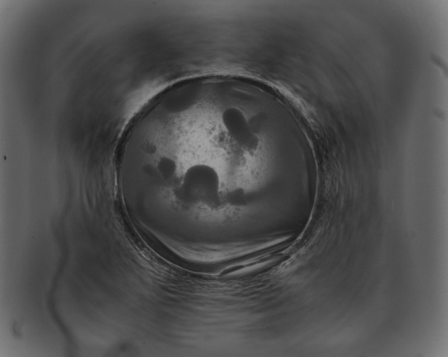 X0000091711271200709071404