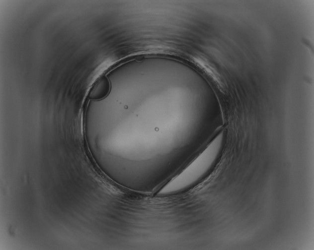 X0000091711275200709071404