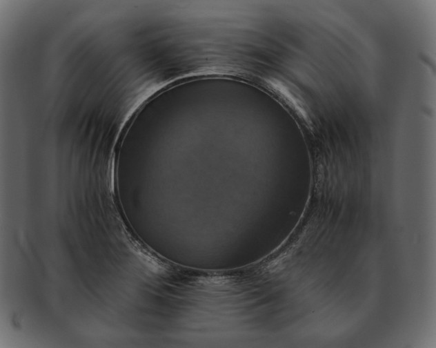 X0000091711276200709071404