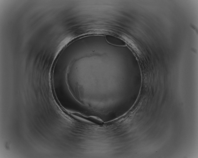 X0000091711283200709071404