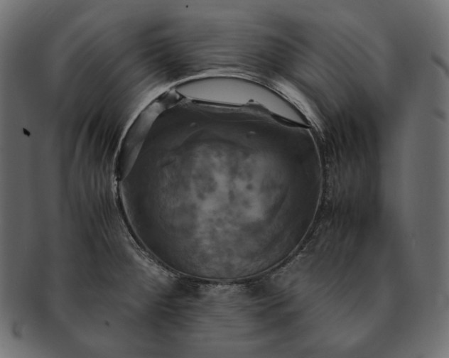 X0000091711284200709071404