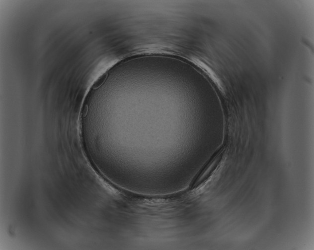 X0000091711285200709071404