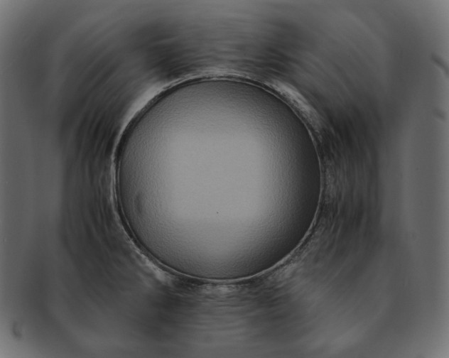 X0000091711286200709071404