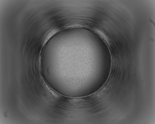 X0000091711290200709071404