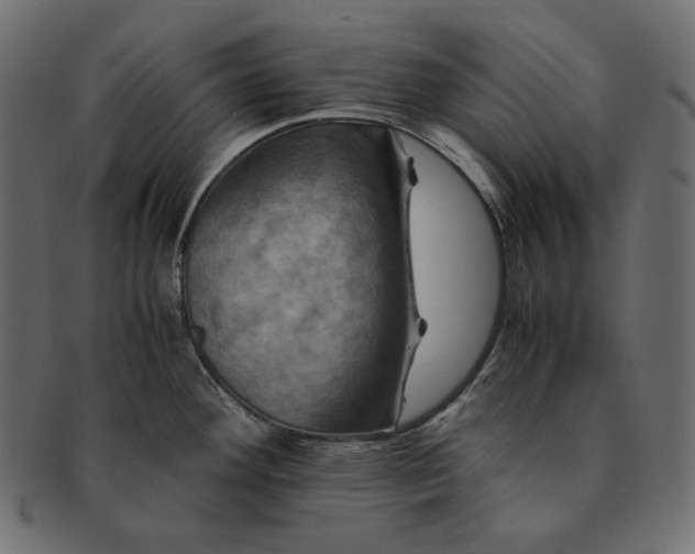 X0000091711292200709071404