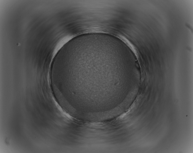 X0000091711293200709071404