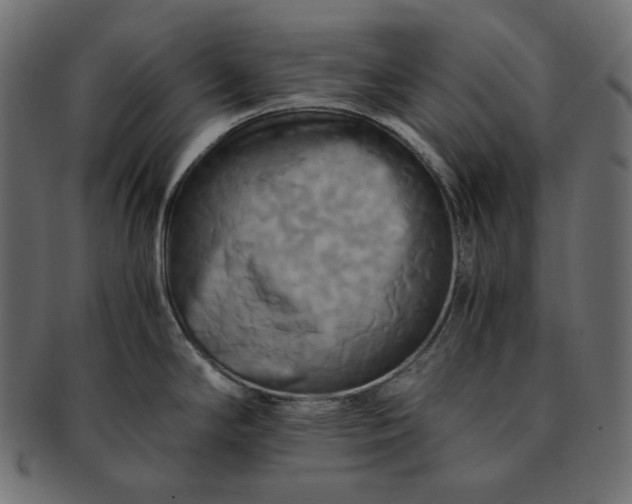 X0000091711294200709071404