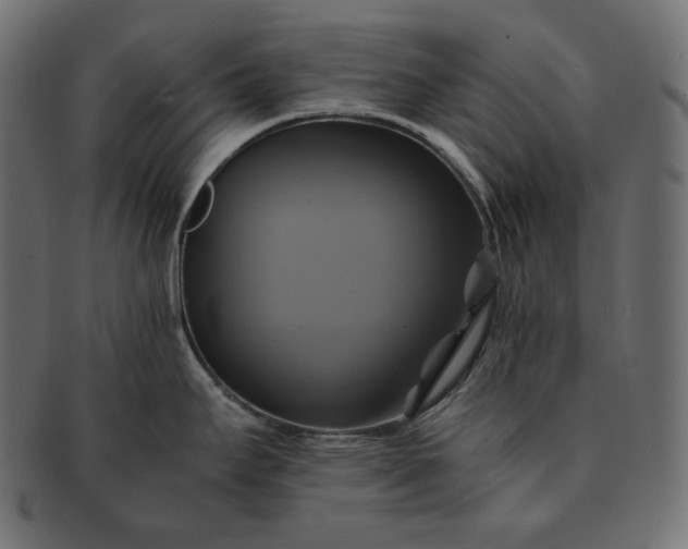 X0000091711295200709071404