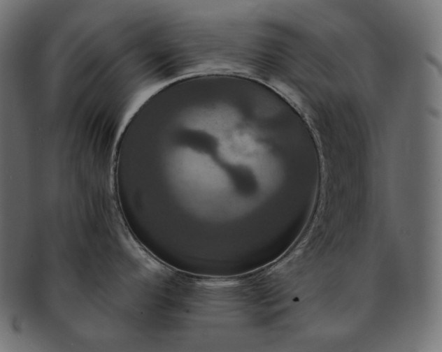 X0000091711296200709071404