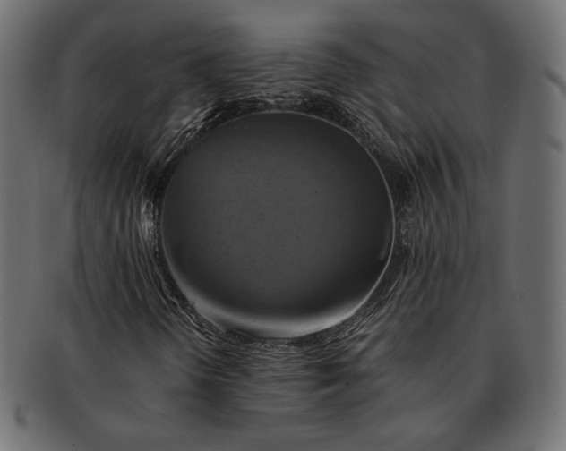 X0000091711298200709071403