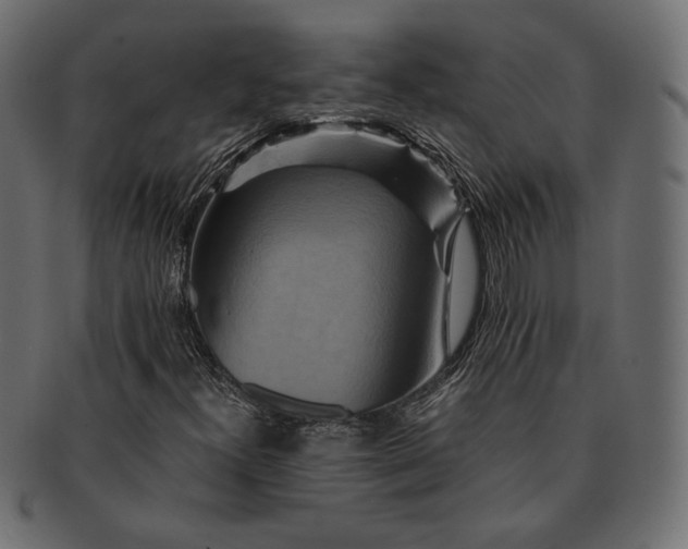 X0000091711300200709071403