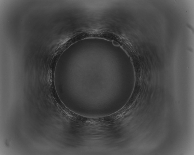 X0000091711301200709071403