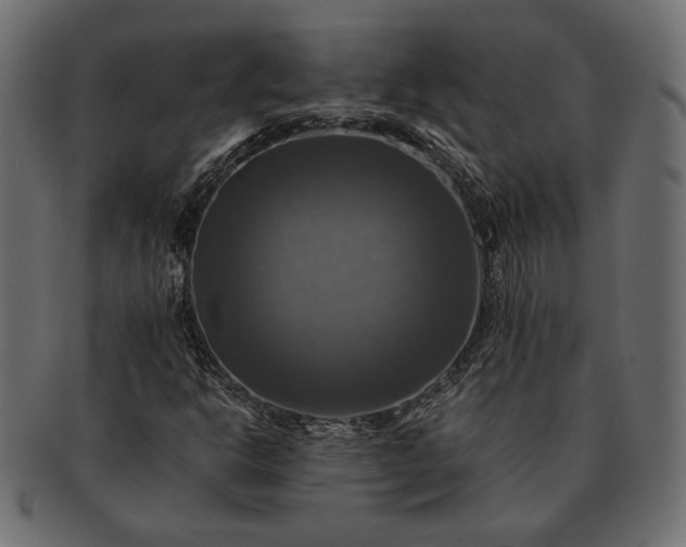 X0000091711302200709071403