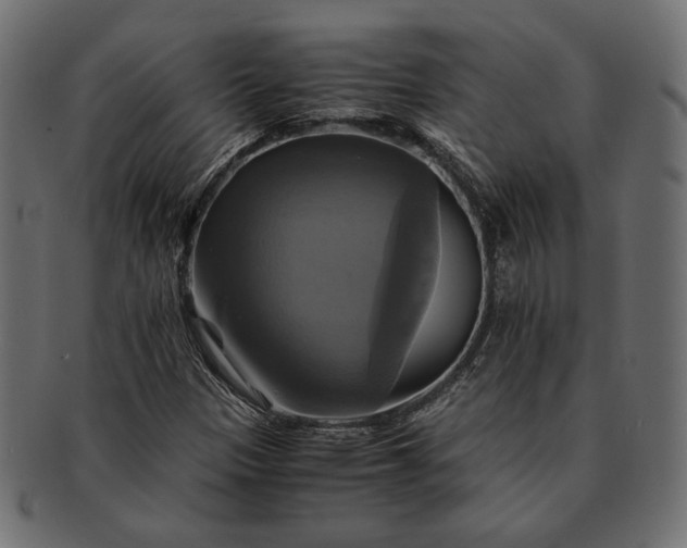 X0000091711305200709071403