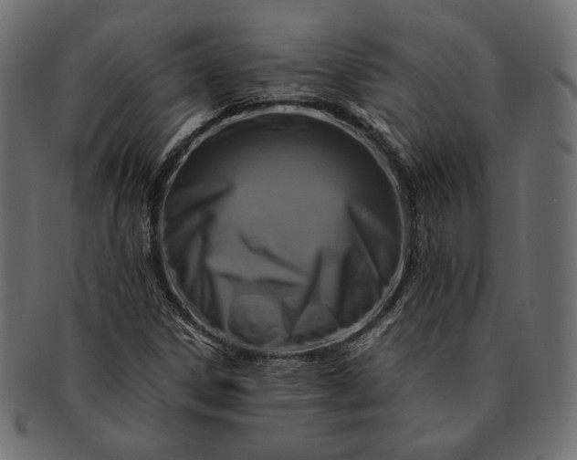 X0000091711306200709071403