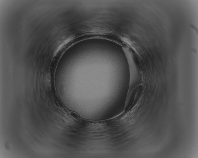 X0000091711307200709071403