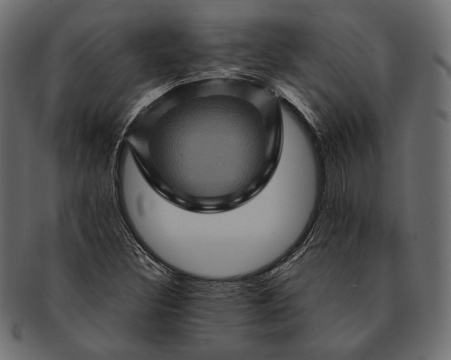 X0000091711308200709071403