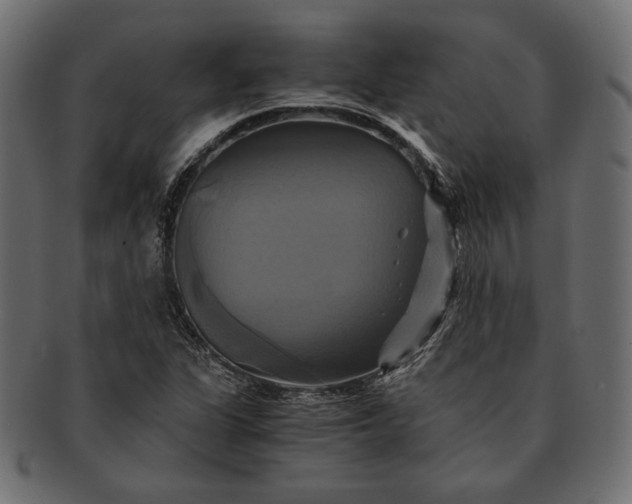 X0000091711311200709071403