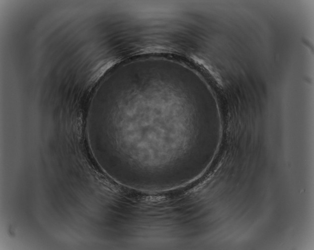 X0000091711313200709071403