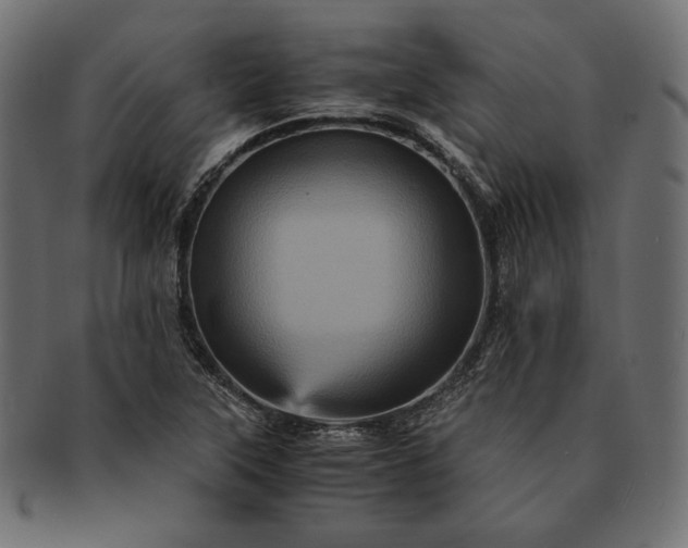 X0000091711315200709071403