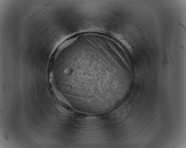 X0000091711316200709071403