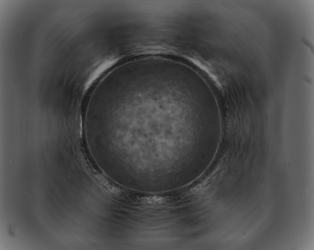 X0000091711317200709071403