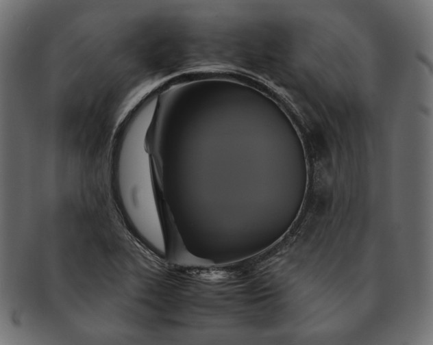 X0000091711319200709071403