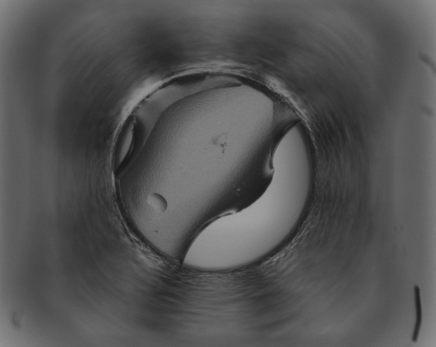 X0000091711320200709071403