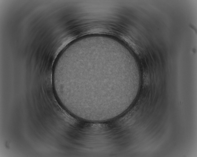 X0000091711322200709071403