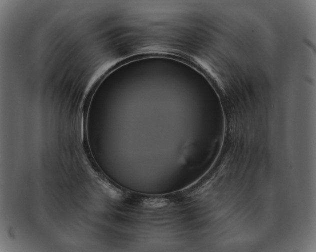 X0000091711323200709071403