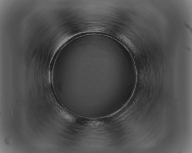 X0000091711324200709071403