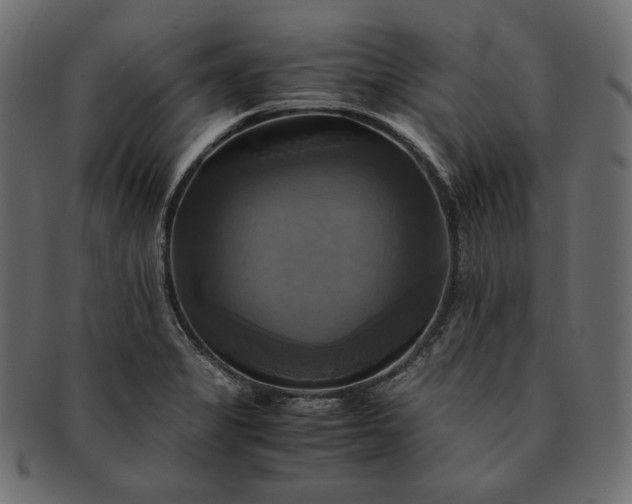 X0000091711325200709071403