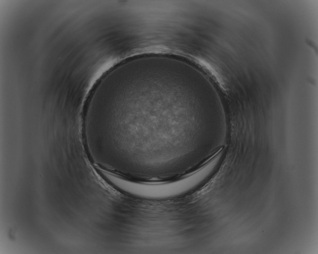 X0000091711326200709071403