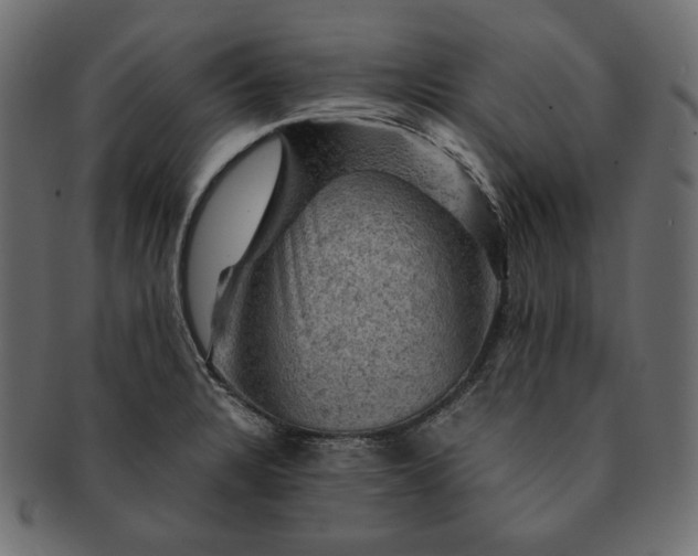 X0000091711328200709071403