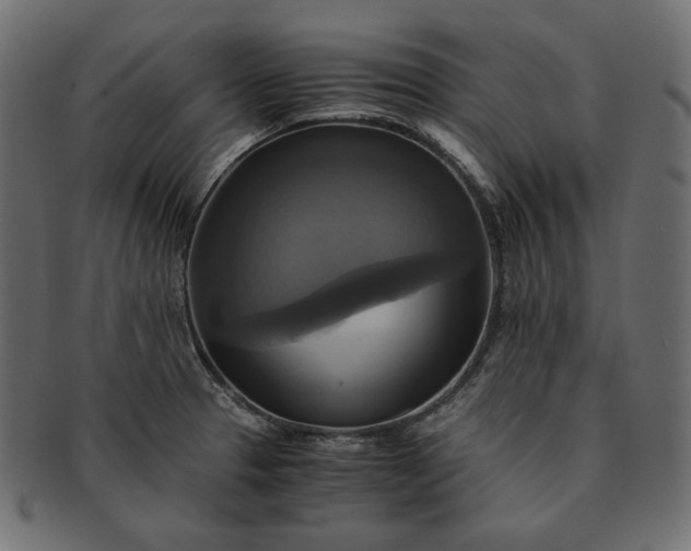 X0000091711329200709071403