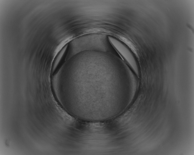 X0000091711330200709071403