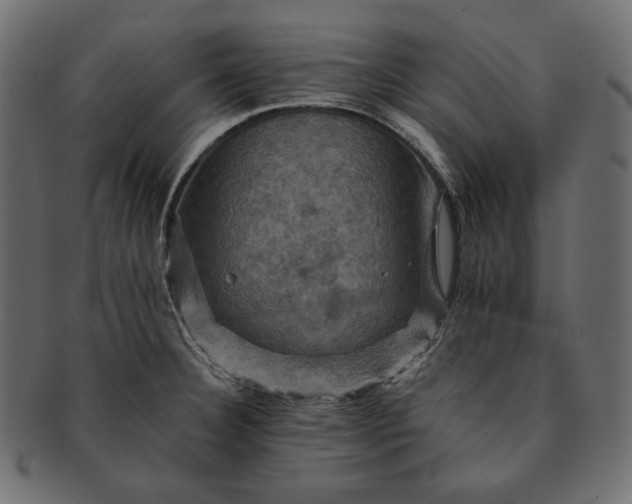 X0000091711332200709071403