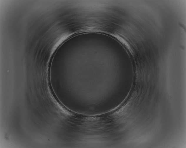 X0000091711333200709071403