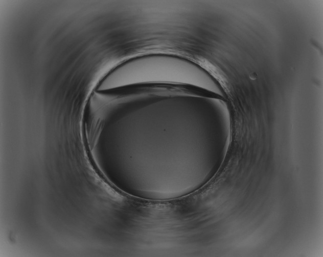 X0000091711334200709071403