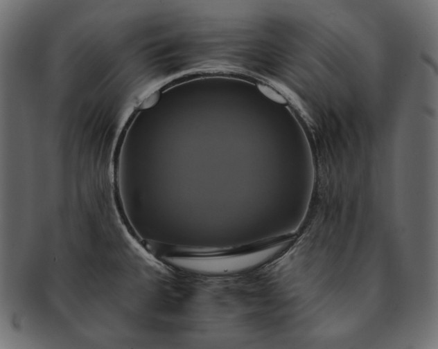 X0000091711335200709071403