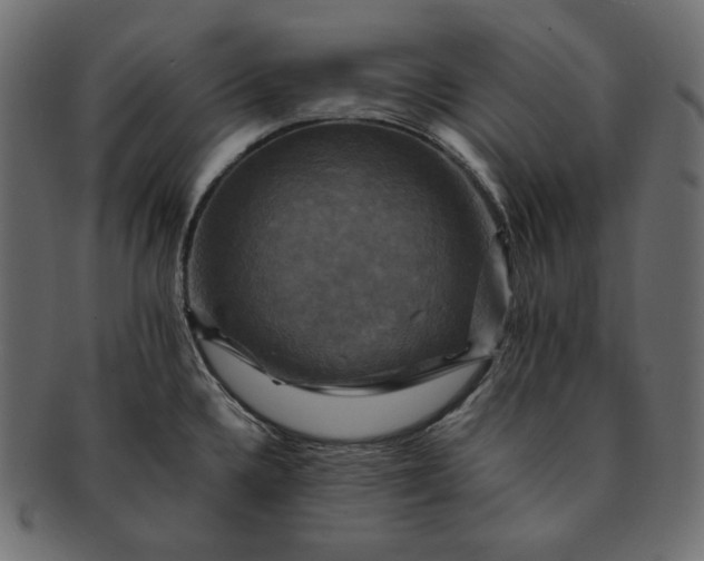 X0000091711336200709071403