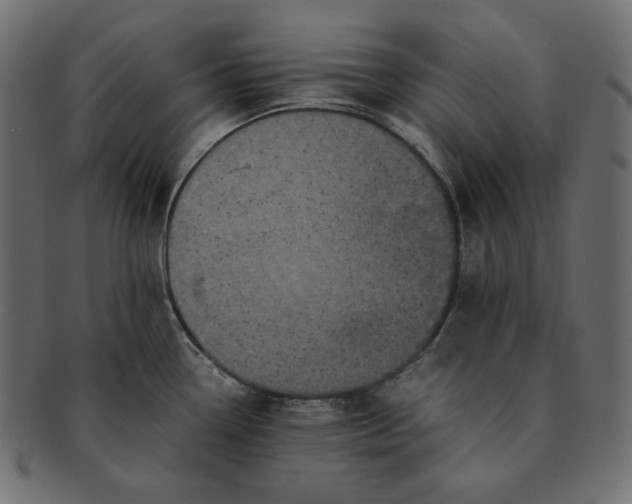 X0000091711338200709071404