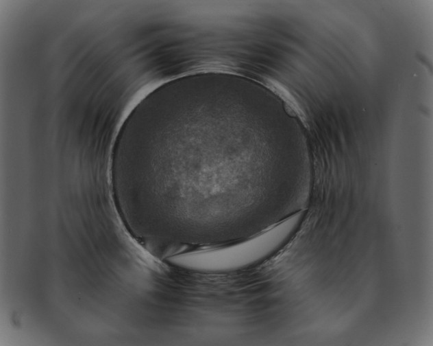 X0000091711339200709071404