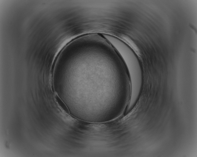 X0000091711340200709071404