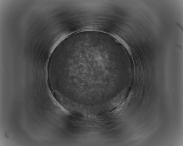 X0000091711341200709071404