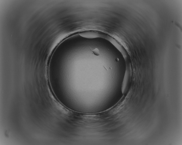 X0000091711342200709071404