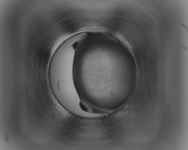 X0000091711344200709071404