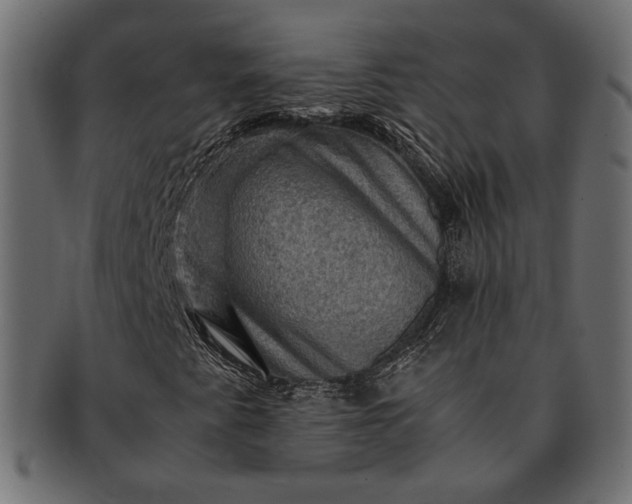 X0000091711345200709071403