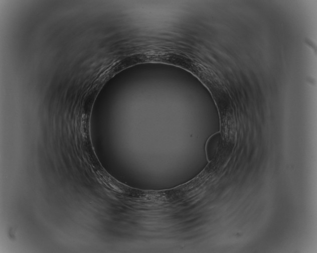 X0000091711346200709071403